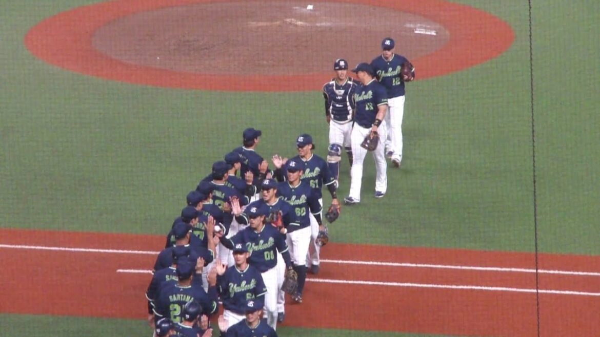 東京ヤクルトスワローズ 石山泰稚がセデーニョをフェンスギリギリのライトフライに打ち取り試合終了　西武 1 - 4 ヤクルト　2025年6月5日(木)　ベルーナドーム交流戦