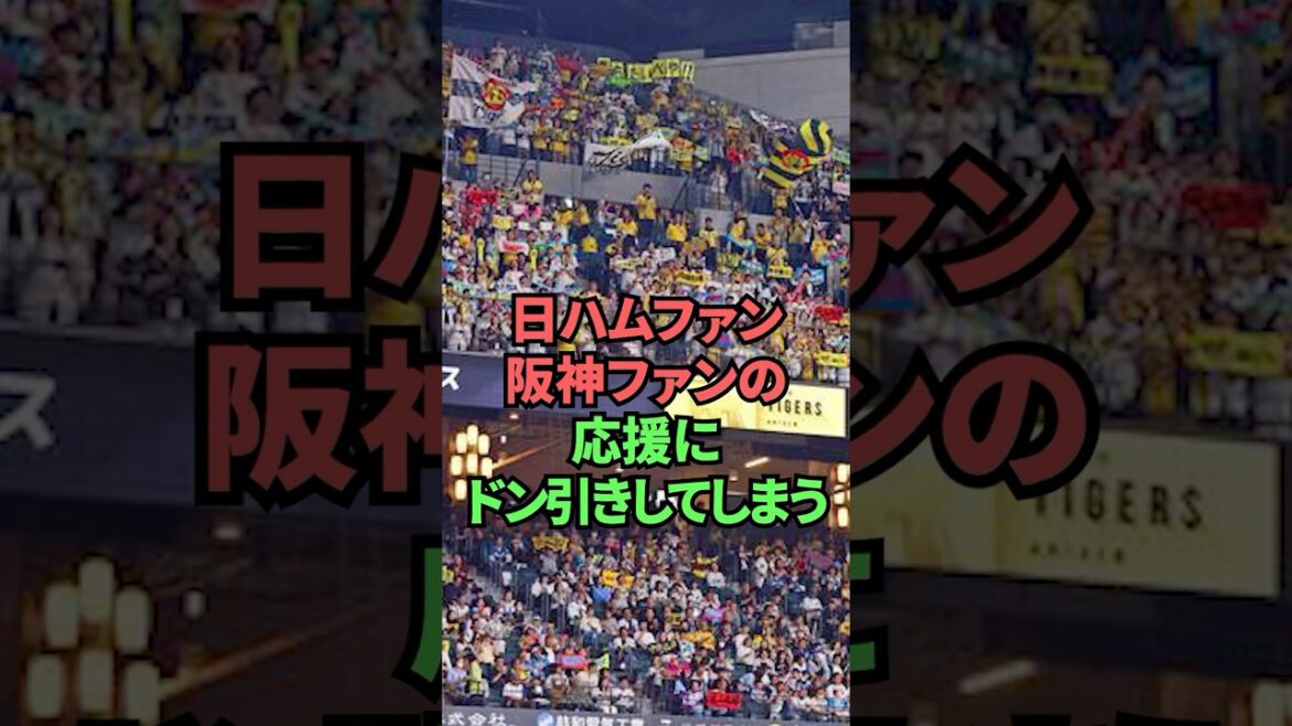 日ハムファン阪神ファンの応援にドン引きしてしまう