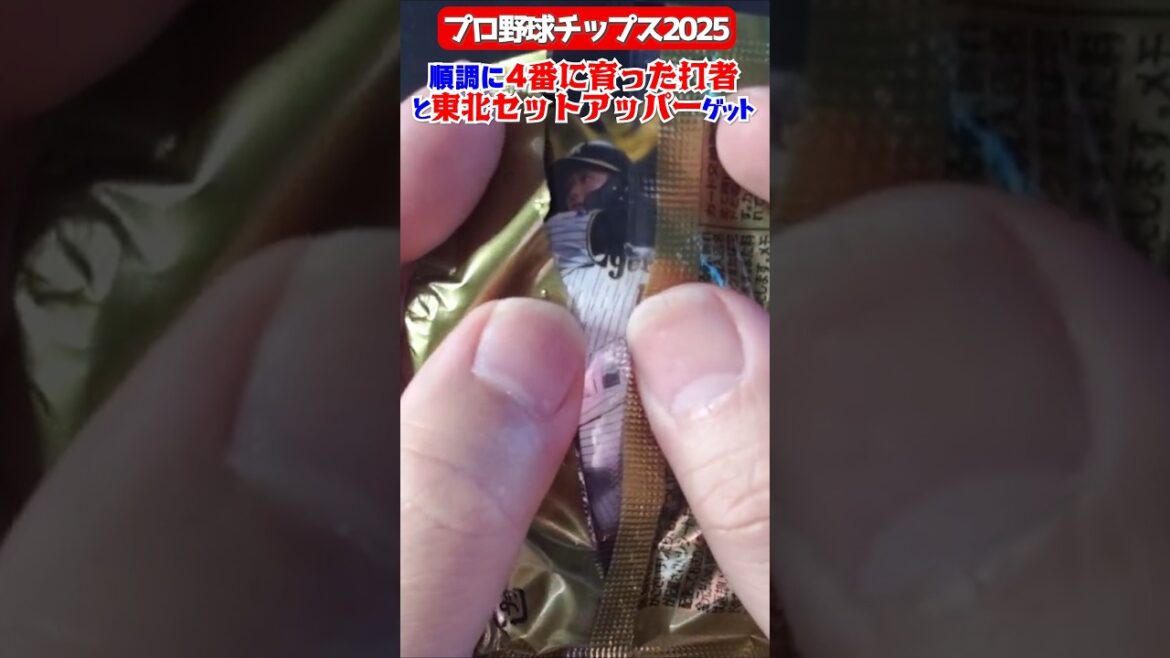 【プロ野球チップス】これ！タイガースの選手がよく当たるわ～【2025第1弾】