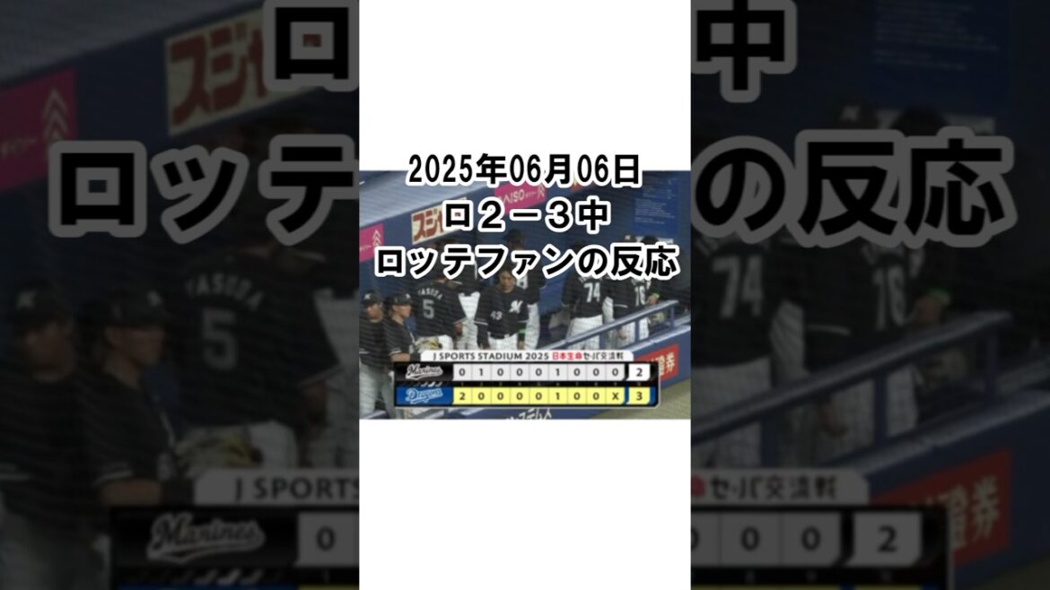 【2025年6月6日】ロッテ２－３中日　試合終了後のロッテファンの反応 #千葉ロッテマリーンズ #chibalotte #小島和哉 #坂本光士郎 #友杉篤輝