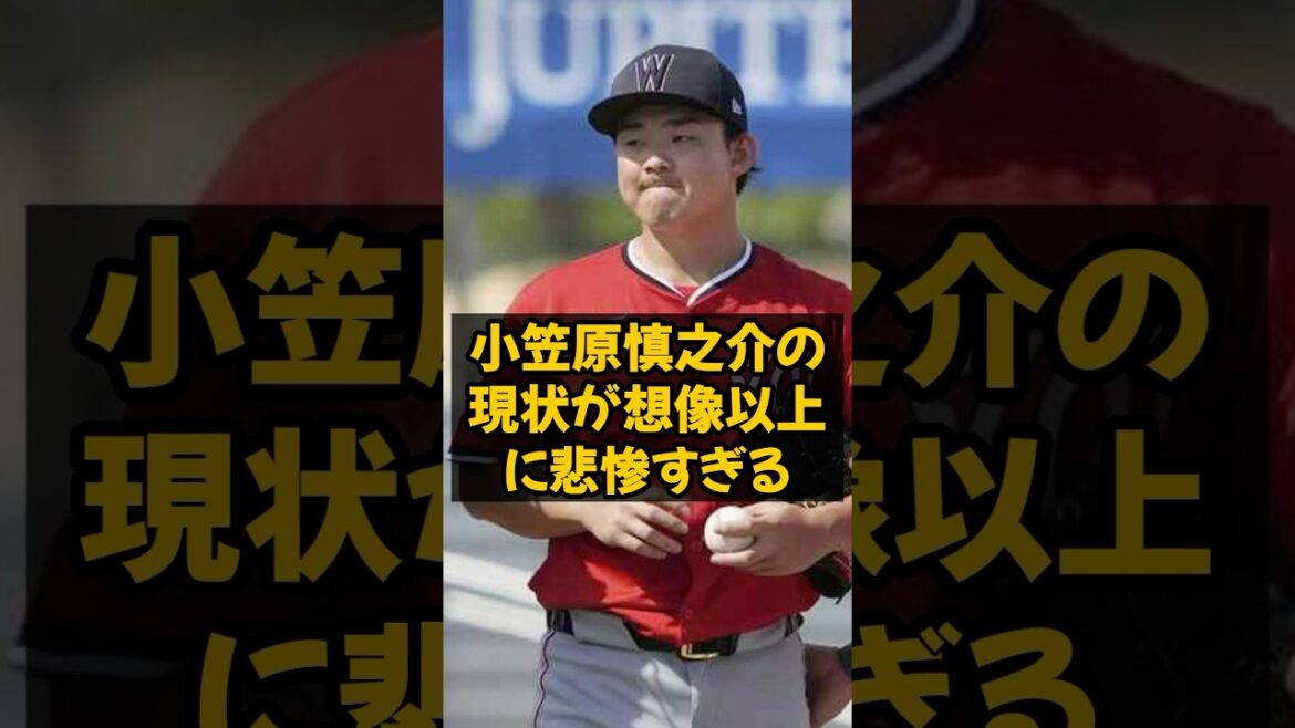小笠原慎之介の現状が想像以上に悲惨すぎる...
