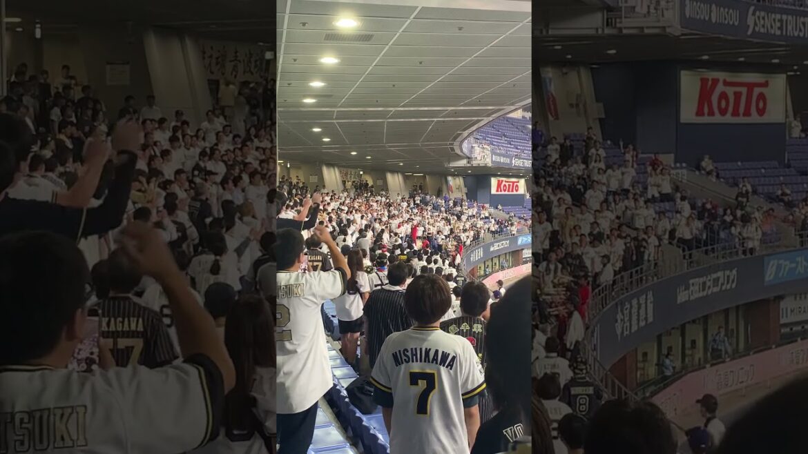 二次会BuffaYell #オリックスバファローズ #BuffaYell #チャンステーマ