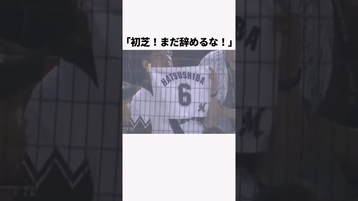 「俺が流した涙を返して欲しいと言われた」初芝清に関する雑学　#プロ野球 #野球解説 #千葉ロッテマリーンズ