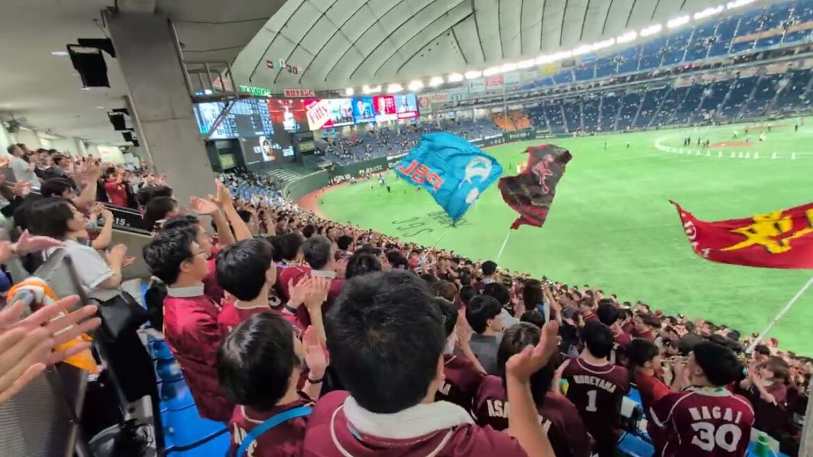 2025.6.6 セ・パ交流戦 楽天イーグルス-読売ジャイアンツ 勝利の二次会