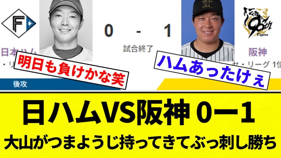 【ぶっ刺してんねん！】日ハムVS阪神 0ー1 大山がつまようじ持ってきてぶっ刺し勝ち【プロ野球反応集】【2chスレ】【なんG】