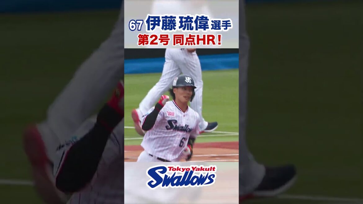 伊藤琉偉選手 第2号同点HR！  #swallows #伊藤琉偉 #shorts