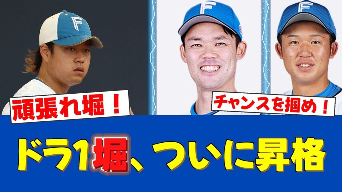【緊急措置】ドラ1左腕・堀瑞輝が今季初昇格!福谷は回またぎ3失点で抹消【日ハムファンの反応】【F速報】 【緊急措置】ドラ1左腕・堀瑞輝が今季初昇格!福谷は回またぎ3失点で抹消【日ハムファンの反応】【F速報】