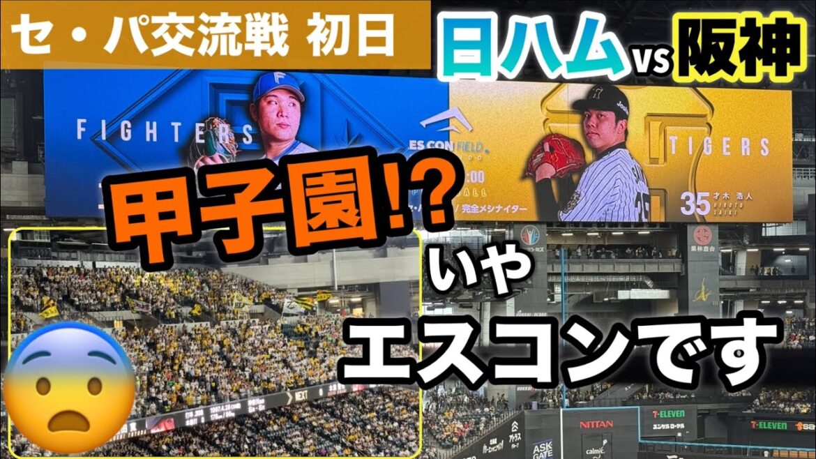 セ・パ交流戦‼︎阪神の応援団📣が半端ないよ!😨おーん、、日ハム対阪神戦1日目に行って来た! セ・パ交流戦‼︎阪神の応援団📣が半端ないよ!😨おーん、、日ハム対阪神戦1日目に行って来た!