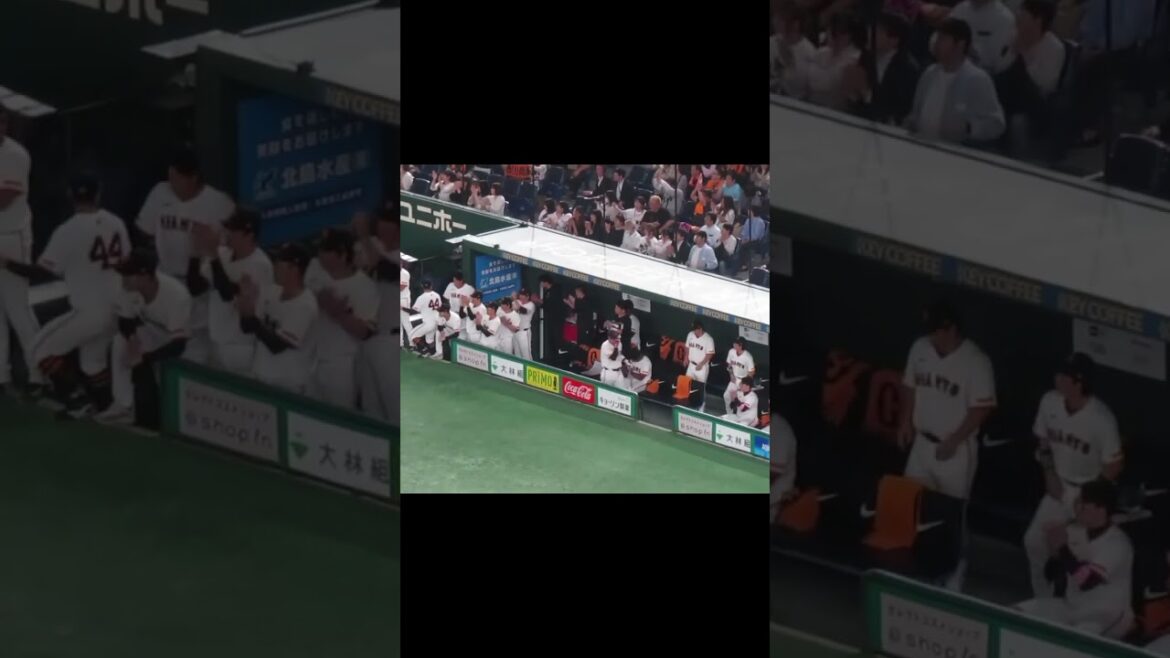 吉川尚輝のヒットに喜ぶ巨人ベンチ＜読売ジャイアンツ 対 ヤクルトスワローズ 2024年4月30日＞