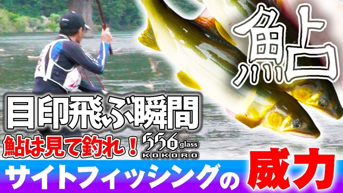 【鮎】目印飛ぶ瞬間 アユは見て釣れ サイトフィッシングの威力 三重県大内山川 かじやんの川漁師な日々 友釣り 【鮎】目印飛ぶ瞬間 アユは見て釣れ サイトフィッシングの威力 三重県大内山川 かじやんの川漁師な日々 友釣り