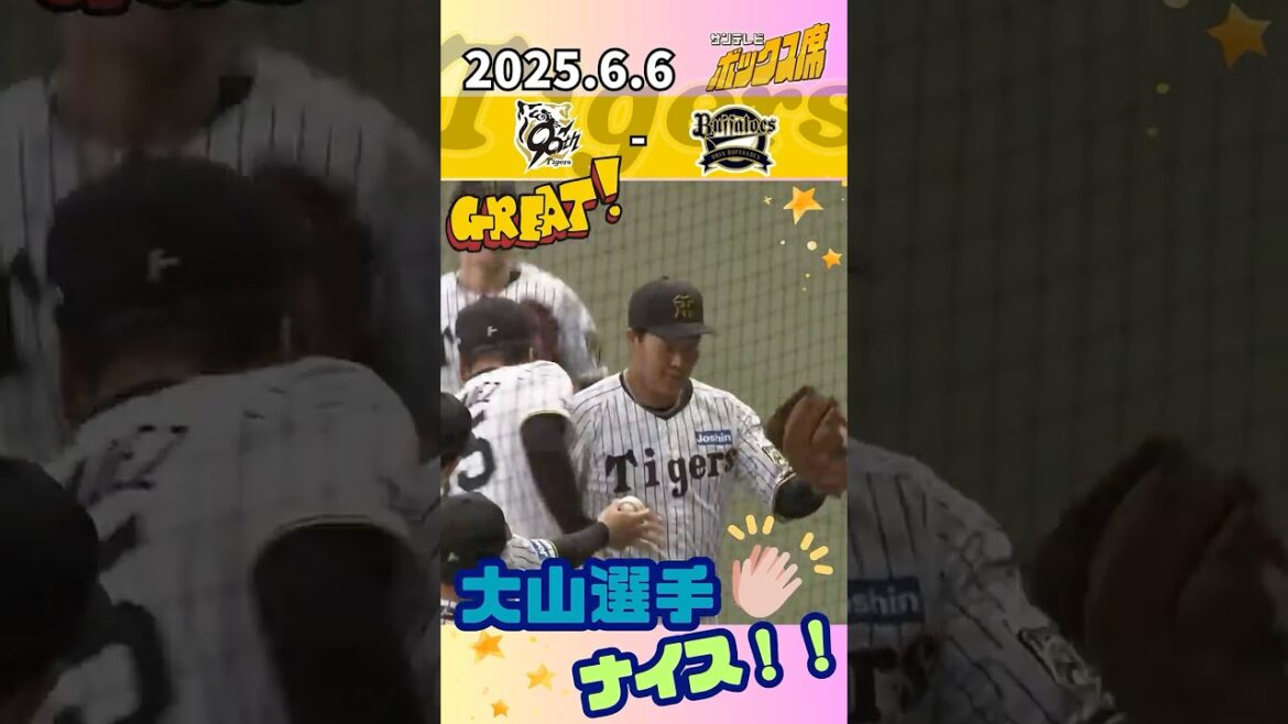 【球場が沸いた！】大山選手のナイスキャッチ#サンテレビボックス席