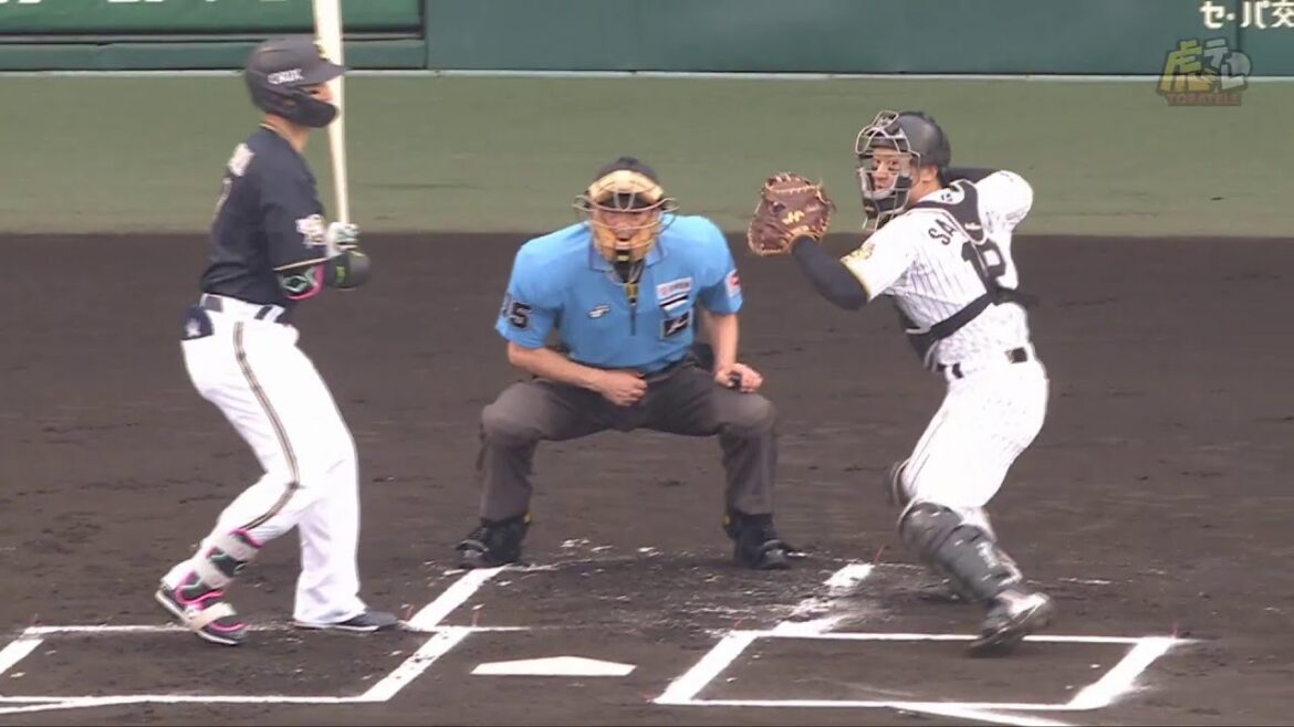 【共同作業】1回表、 #坂本誠志郎 選手が精密送球で盗塁阻止！【2025/6/8 Ｔ－Ｂ】