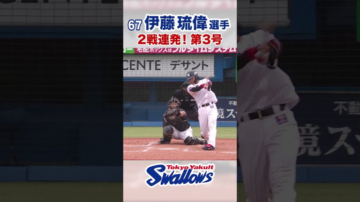 伊藤琉偉選手 2戦連発！第3号  #swallows #伊藤琉偉 #shorts