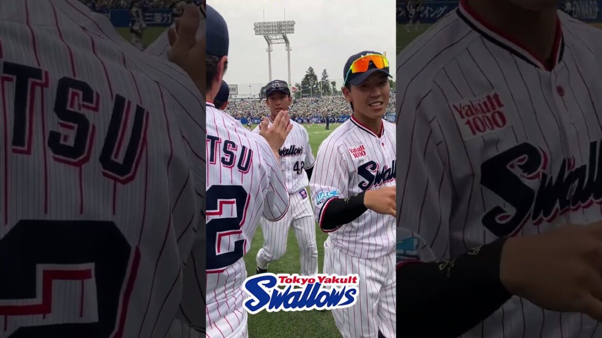 勝利後のハイタッチ　#swallows #shorts