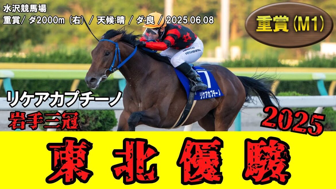 【競馬】 東北優駿 (水沢・岩手三冠) 2025 / リケアカプチーノ 【競馬】 東北優駿 (水沢・岩手三冠) 2025 / リケアカプチーノ