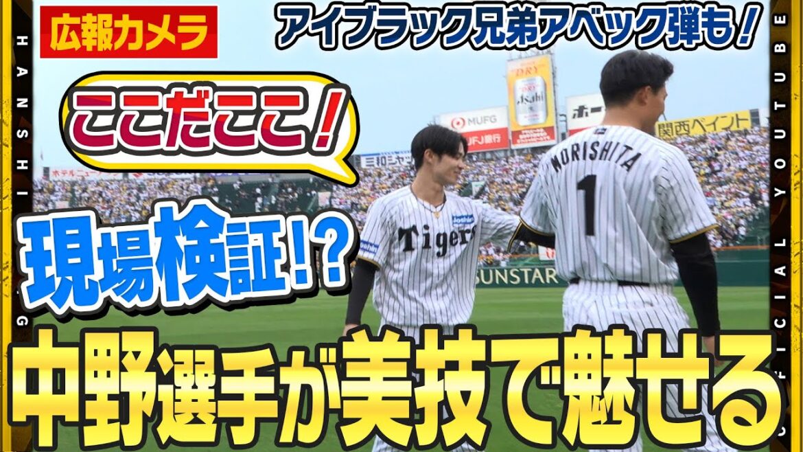 【舞台裏】現場検証！？#中野拓夢 選手が美技披露したライト前へ！#佐藤輝明 選手#森下翔太 選手のアイブラック兄弟も豪快アーチかけ関西ダービー快勝！