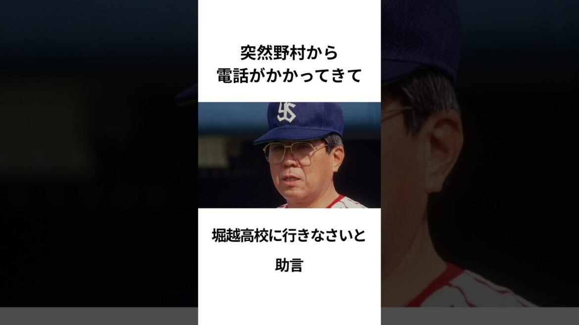 野村克也が少年に苦言⁉︎#野球 #プロ野球 #野村克也