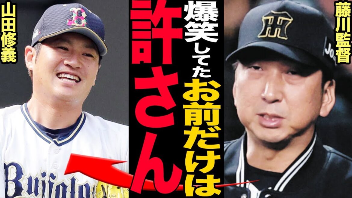 山田修義の不謹慎すぎる対応に藤川監督激怒！人命が危ぶまれる瞬間にオリックスベンチが見せた不誠実すぎる対応がヤバい…廣岡の危険プレーに対する阪神タイガースの驚きを隠せない！【プロ野球】