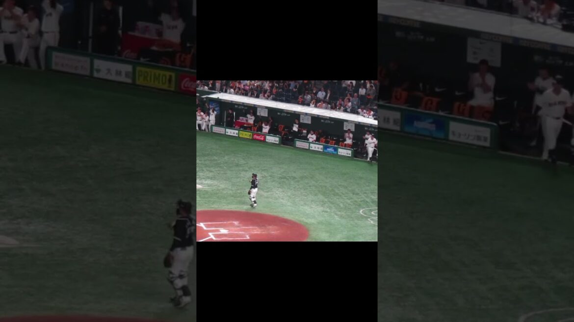 立岡宗一郎のヒットと喜ぶジャイアンツベンチ選手たち（読売ジャイアンツ対 千葉ロッテマリーンズ2024年6月4日