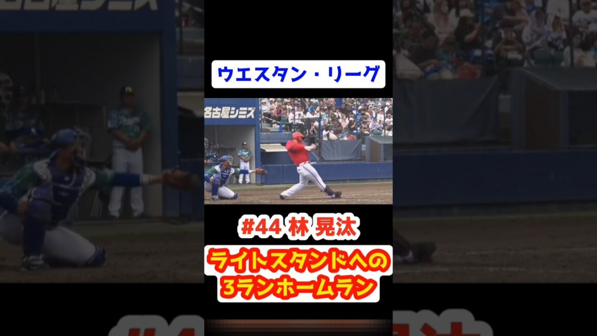 ファーム ドラゴンズ vs カープ 2025/6/7【ライトスタンドへの3ランホームラン】#林晃汰 #carp #広島東洋カープ #広島 #ウエスタン