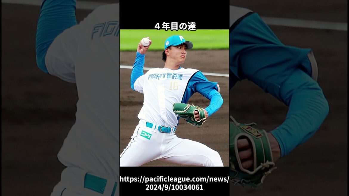 【贅沢な悩み】日本ハムの先発陣が充実しすぎな件 #プロ野球ニュース #shorts  #日本ハムファイターズ