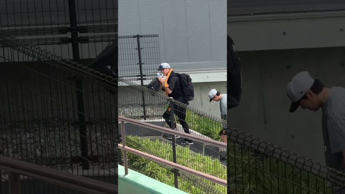 室内練習場に移動する坂本選手と長野選手⚾️ #坂本勇人 #長野久義 #ジャイアンツ球場 #ジャイアンツ #読売ジャイアンツ