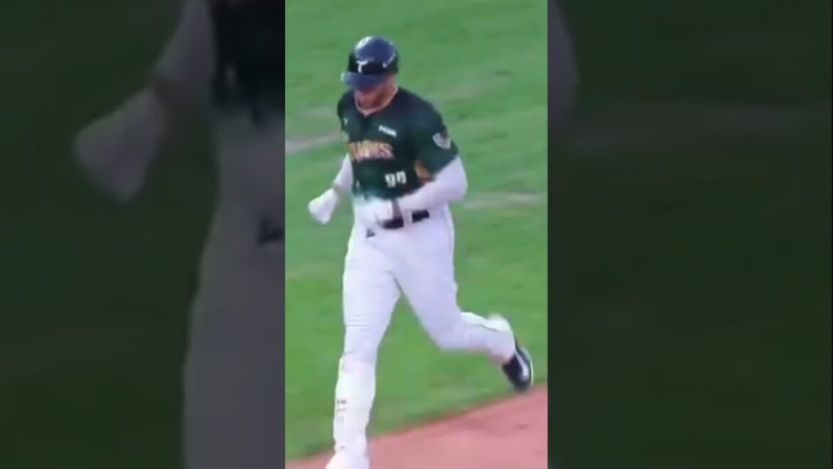 Steven Moya conectó su jonrón #13 con los Hawks en Taiwán.#stevenmoya #taiwan #baseball #trending