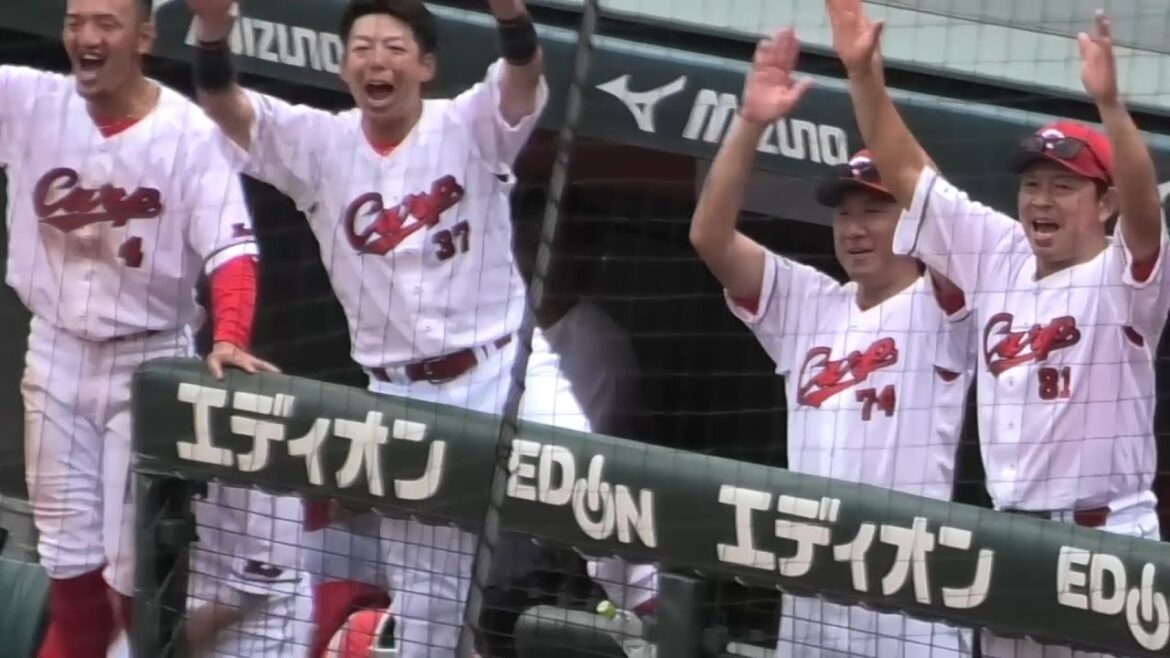 7回、ダメ押しの2得点！タイムリーを打った野間さんも興奮のガッツポーズ！ミスを誘い押せ押せムードのカープベンチハイライト！2025年6月7日