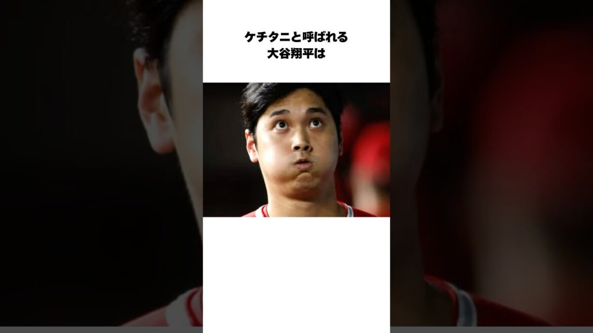 『WBCでチームメートあった大谷とヌートバー』 #shorts #プロ野球 #野球 #大谷翔平 #ヌートバー #WBC 『WBCでチームメートあった大谷とヌートバー』 #shorts #プロ野球 #野球 #大谷翔平 #ヌートバー #WBC