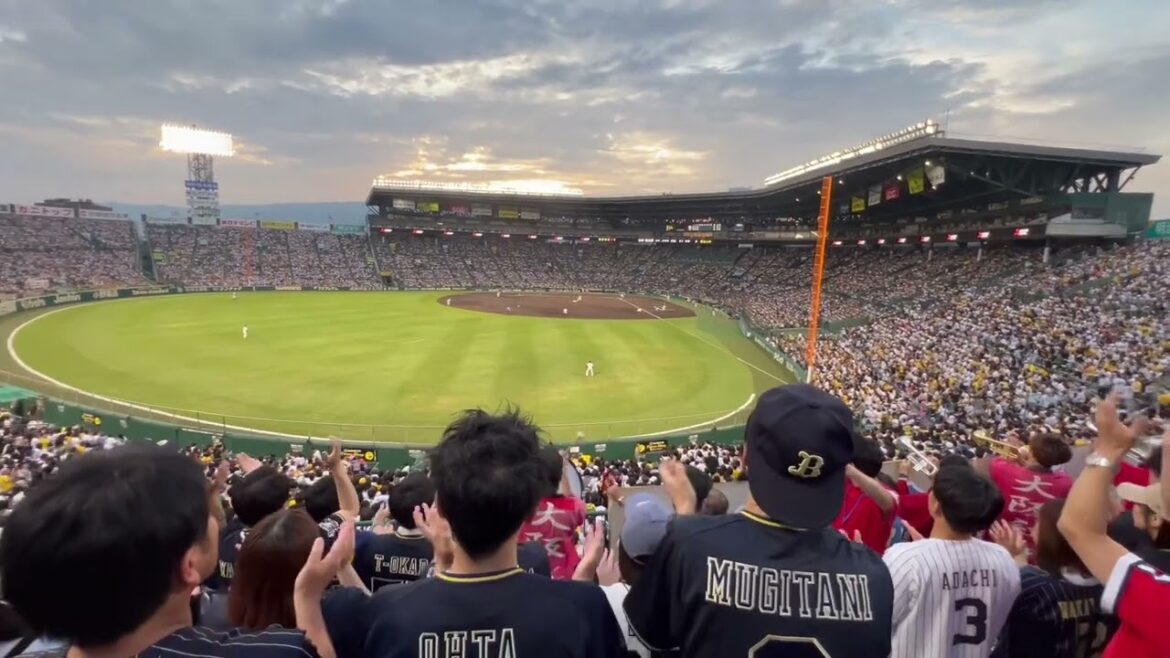 【甲子園】オリックス 杉本裕太郎 応援歌 2025.6.7