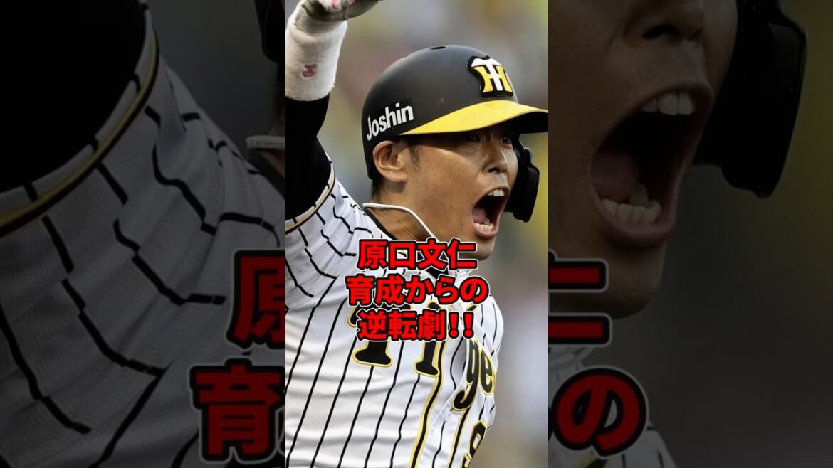 【予告編】「必死のパッチ」が響いた夜…阪神タイガース「原口文仁」育成からの逆転劇！！#プロ野球 #阪神タイガース #原口文仁 #shorts