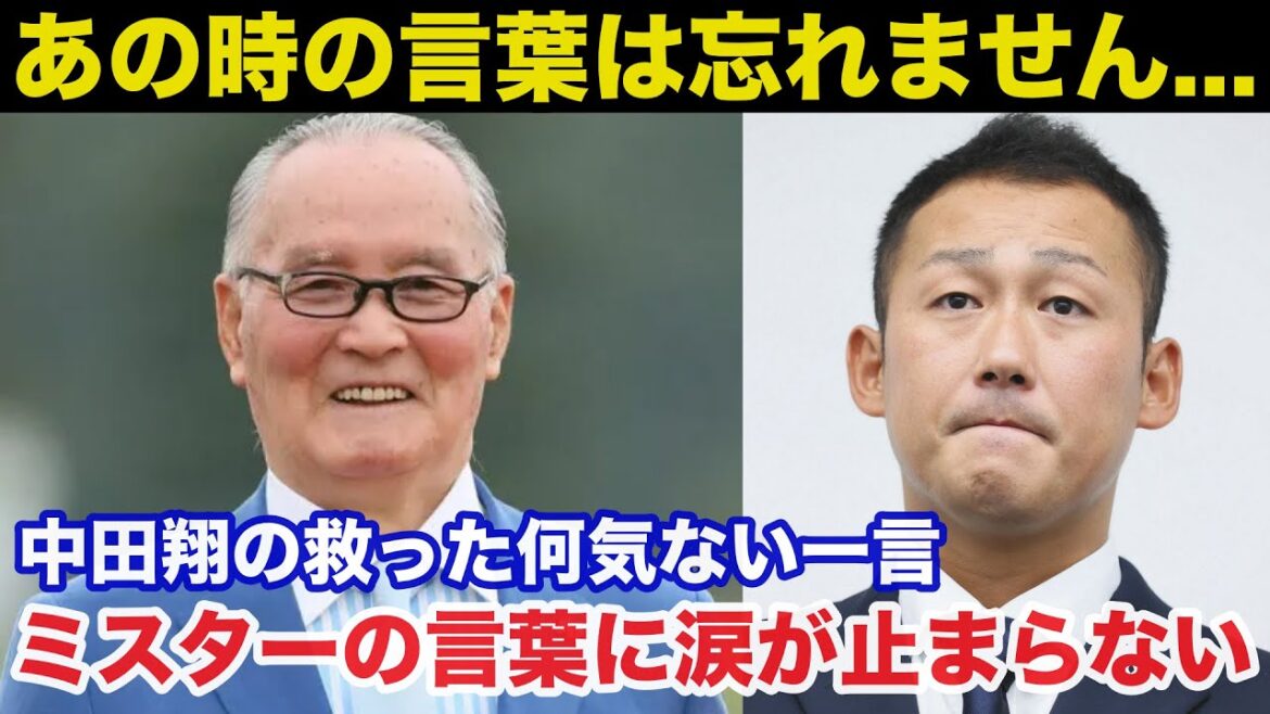 【衝撃事実】中田翔を救った長嶋茂雄からのある一言に感動で涙が止まらない【巨人/中日ドラゴンズ/プロ野球】