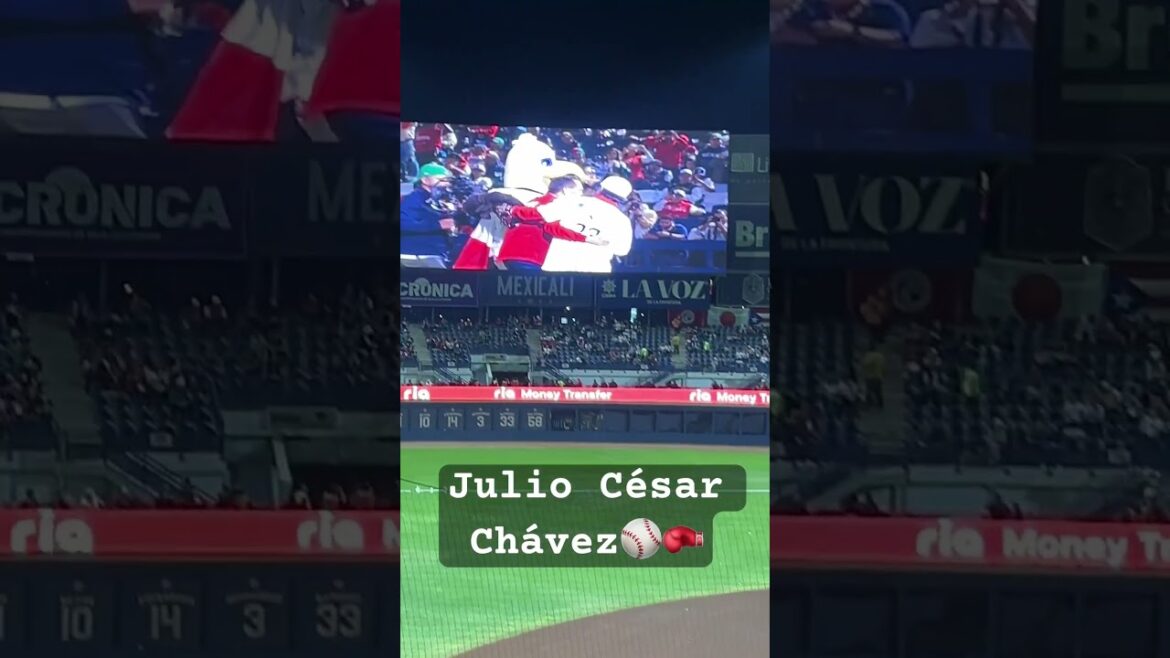 Julio César Chávez,lanza primera bola en final de serie del Caribe México 🇲🇽vs Rep.Dominicana 🇩🇴