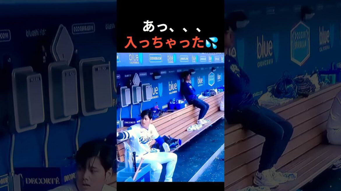 あっ、入っちゃった💦 #大谷翔平 #mlb  #shorts  #dodgers #ドジャース #野球 #ohtani #baseball