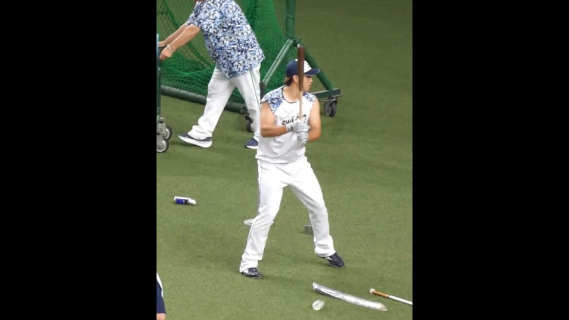 北村 拓己　逞し腕でトスバッティング練習　#東京ヤクルトスワローズ #shorts