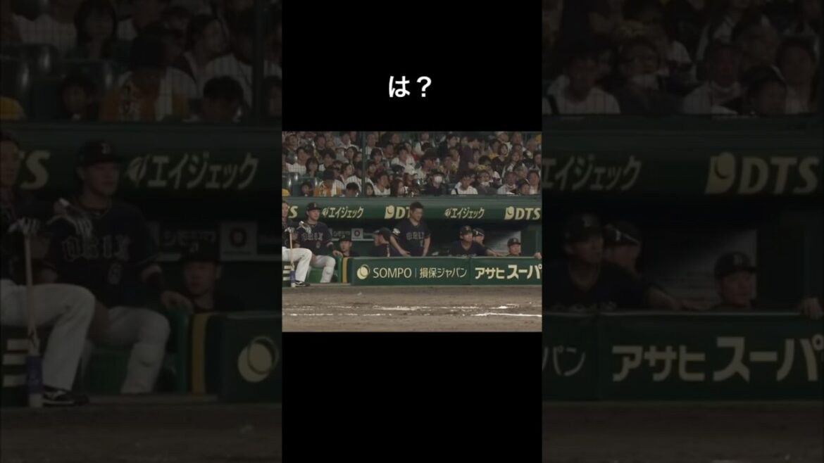 石井選手どうか無事であってください #プロ野球 #阪神タイガース #石井大智 #交流戦 #野球 #山田修義