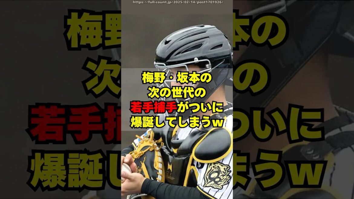 【阪神】ついに梅野・坂本の次の世代の若手捕手が2軍に爆誕 【阪神】ついに梅野・坂本の次の世代の若手捕手が2軍に爆誕