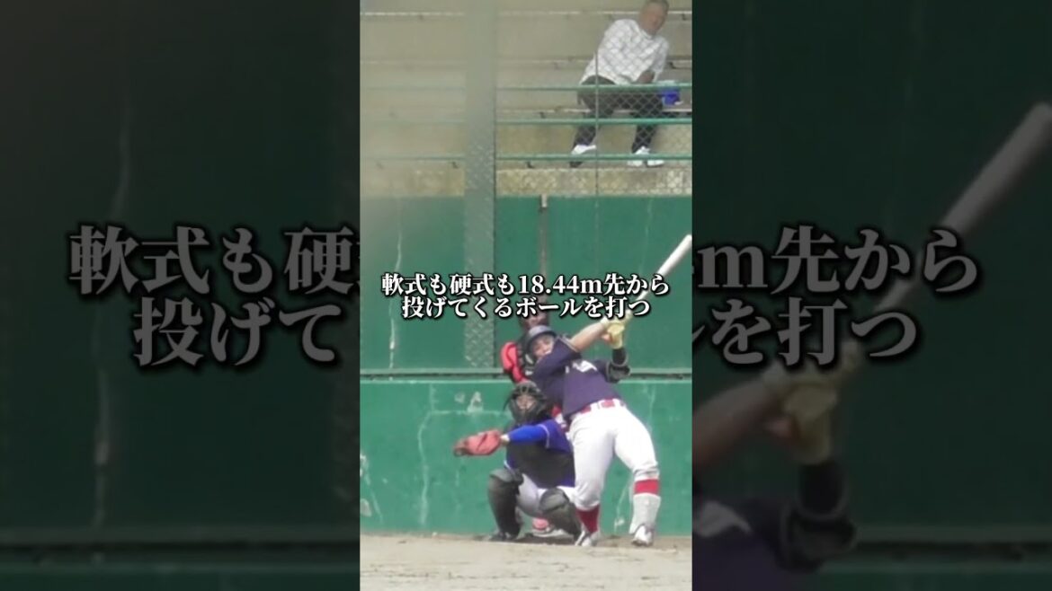 軟式と硬式で打ち方は違う？   #shorts #baseball #野球 #batting #バッティング #野球のミカタ #打撃探究部屋