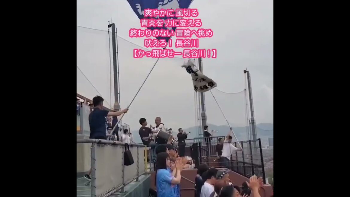 20250608 試合前に流れる【長谷川信哉 応援歌】埼玉西武ライオンズ #shorts@MAZDA Zoom-Zoom スタジアム広島・ビジターパフォーマンス 日本生命セ・パ交流戦 20250608 試合前に流れる【長谷川信哉 応援歌】埼玉西武ライオンズ #shorts@MAZDA Zoom-Zoom スタジアム広島・ビジターパフォーマンス 日本生命セ・パ交流戦