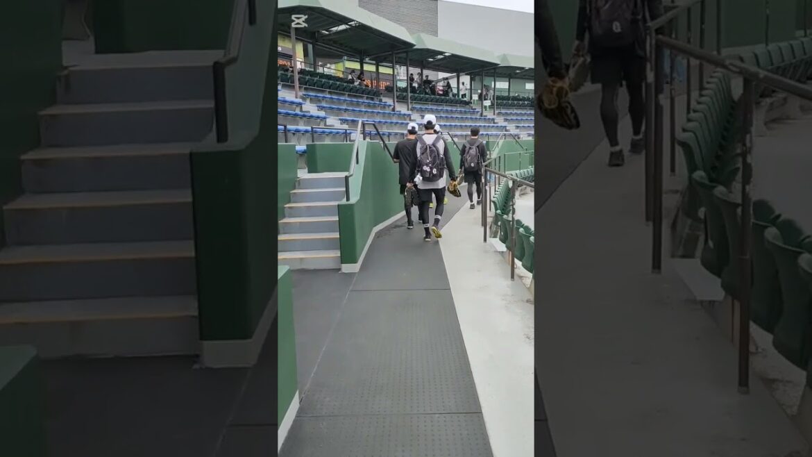 【GIANTS】 #直江大輔 054 #三浦克也 012 #園田純規 019 #富田龍 028 #shorts #巨人 #ジャイアンツ #ヤングジャイアンツ