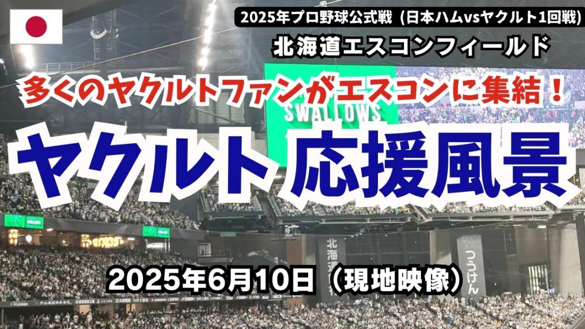 多くのヤクルトファンがエスコンフィールドに集結！ヤクルトスワローズの応援風景 （「スタメン選手」「オスナ」「東京音頭」「夏祭り」「山田哲人」） 日本ハム対ヤクルト1回戦 2025年6月10日