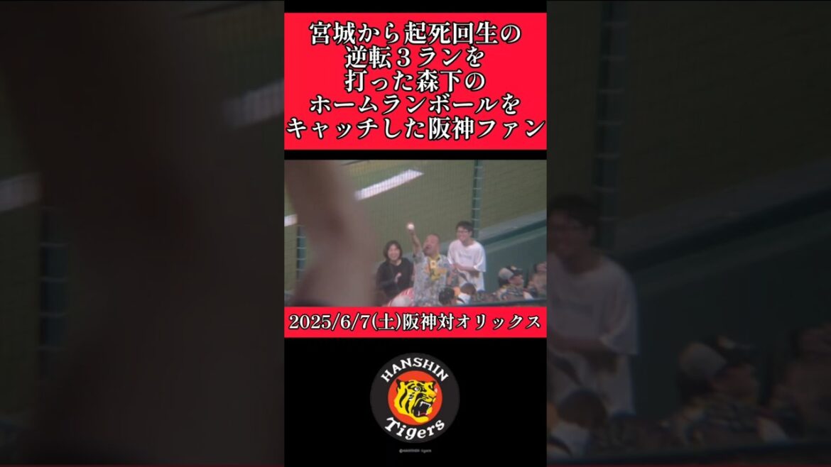 【阪神】森下のホームランボールをキャッチした阪神ファン！ #阪神 #阪神タイガース #shorts