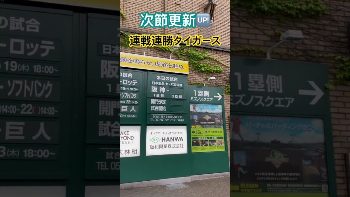 #阪神甲子園球場 #甲子園 #阪神タイガース #hanshintigers #hanshin #tigers #koshien #甲子園 #甲子園球場 #野球場