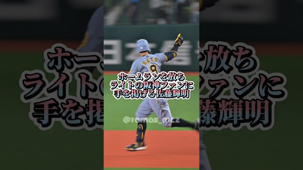 佐藤輝明第18号ホームラン！ #阪神タイガース