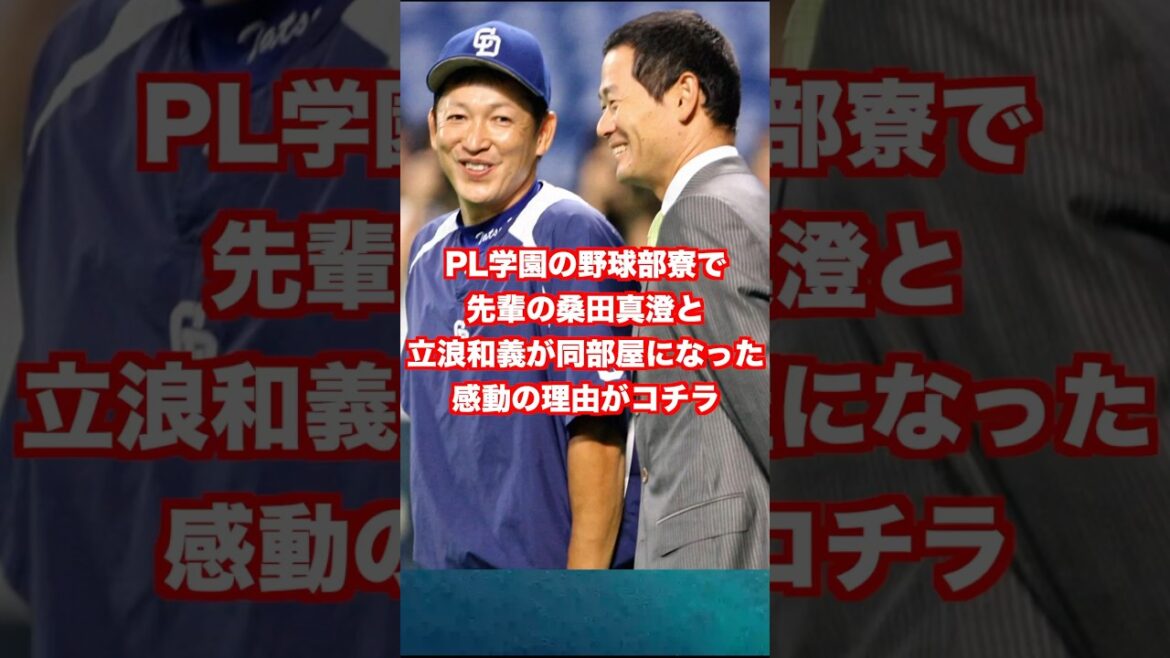 PL学園の野球部寮で先輩の桑田真澄と立浪和義が同部屋になった感動のりゆがコチラ #野球 #プロ野球