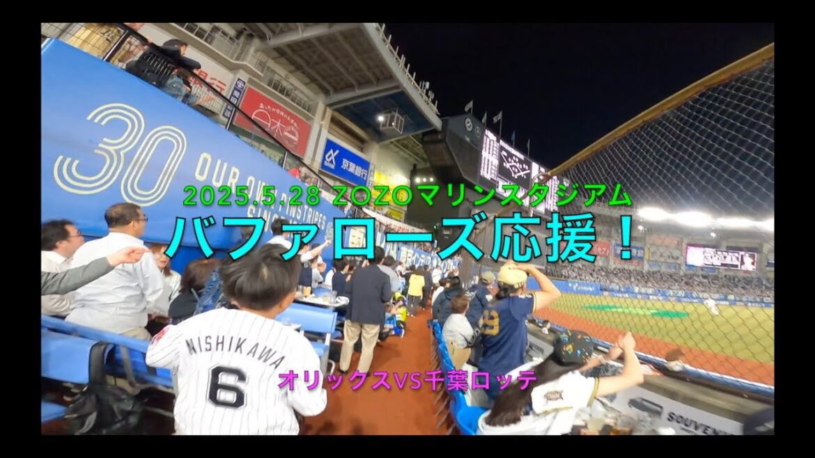 2025.5.28バファローズ応援！オリックスvs千葉ロッテ
