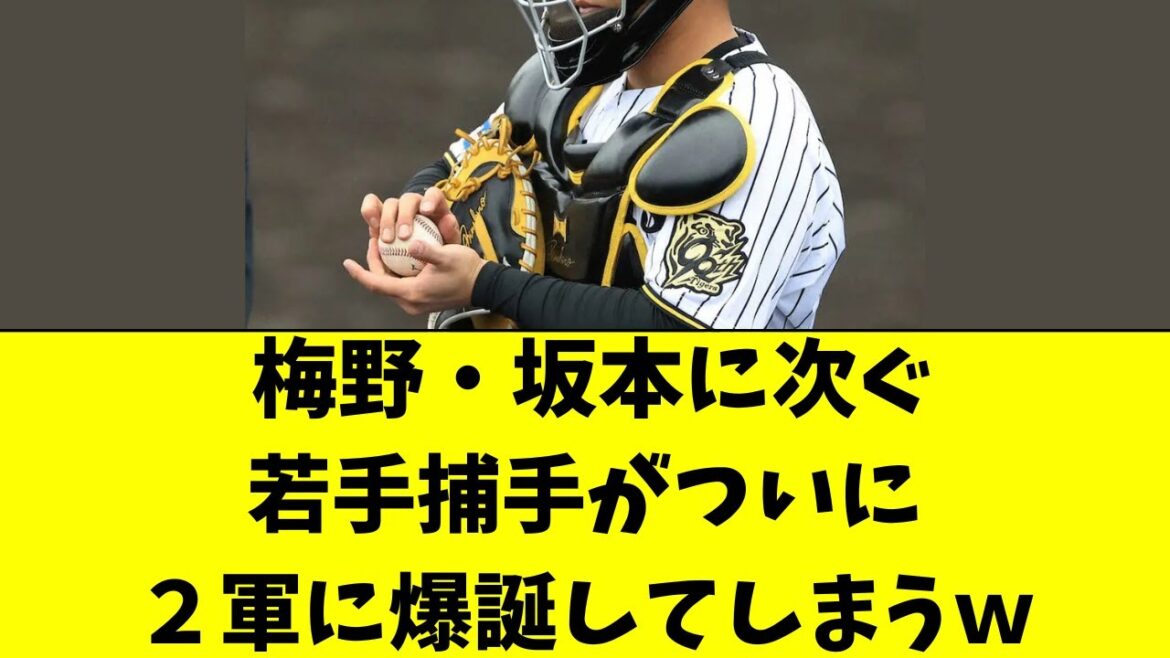 【阪神】梅野・坂本に次ぐ若手捕手が２軍で爆誕してしまうｗ