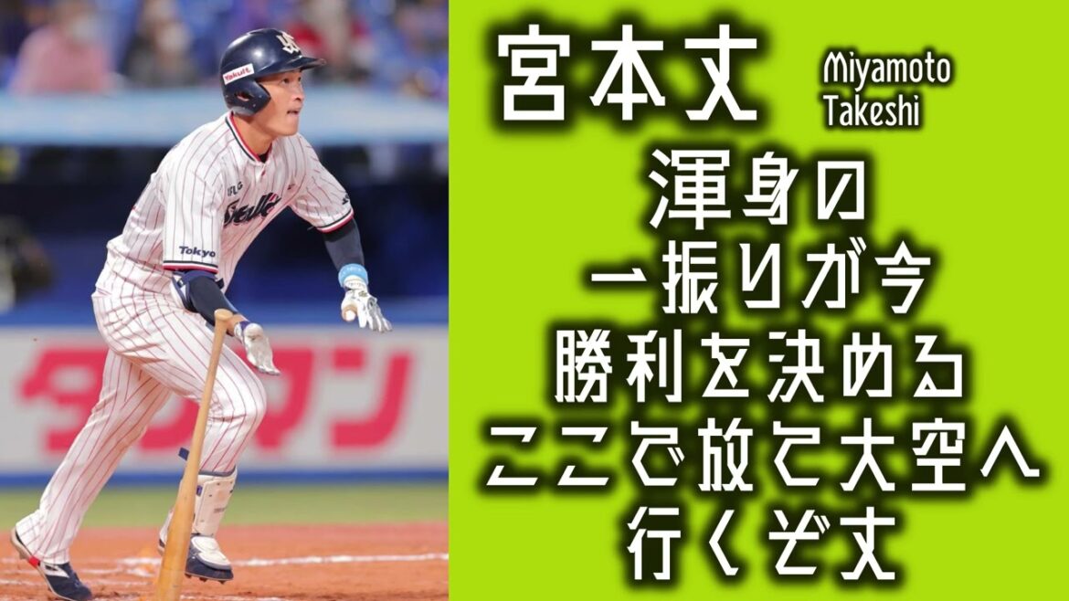 【作業用】宮本丈応援歌30分耐久【ヤクルト】