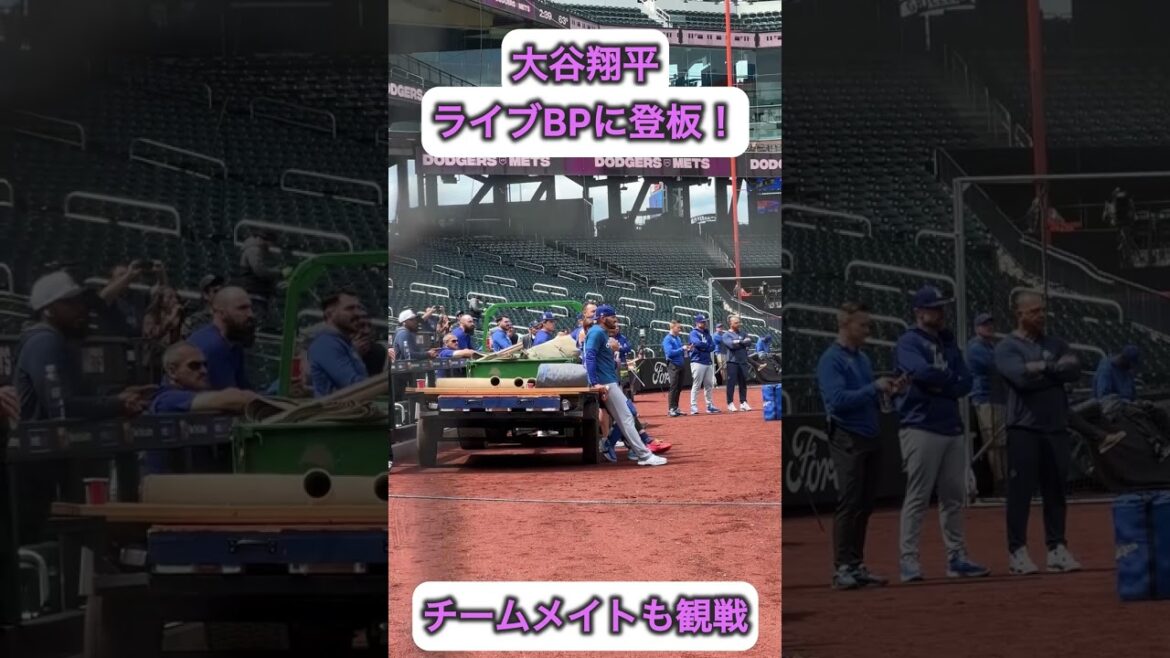 大谷翔平がライブBPに登板！チームメイトも気になります👀　5月26日