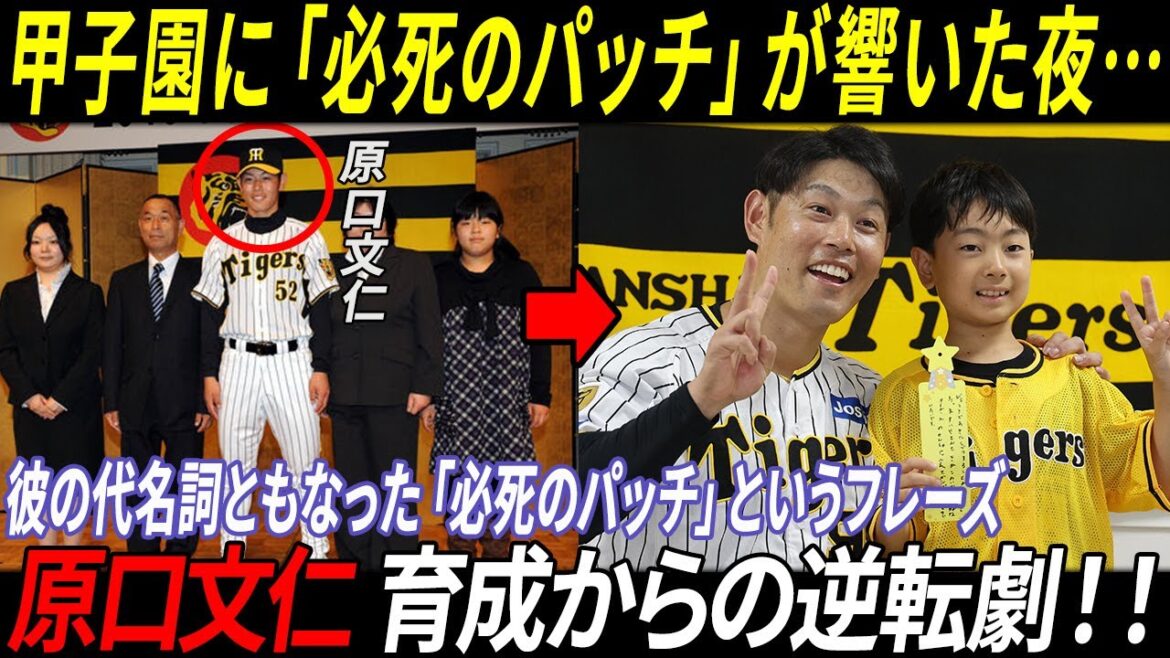 「必死のパッチ」が響いた夜…阪神タイガース「原口文仁」育成からの逆転劇！！#プロ野球 #阪神タイガース #原口文仁